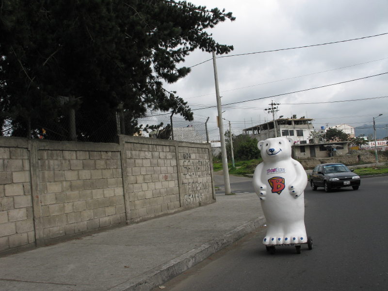 24ambato.jpg