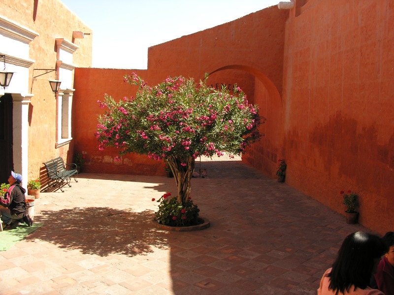 Click on image to return to index 02arequipacityciudadperu.jpg