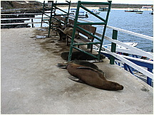 11baltra_2.jpg