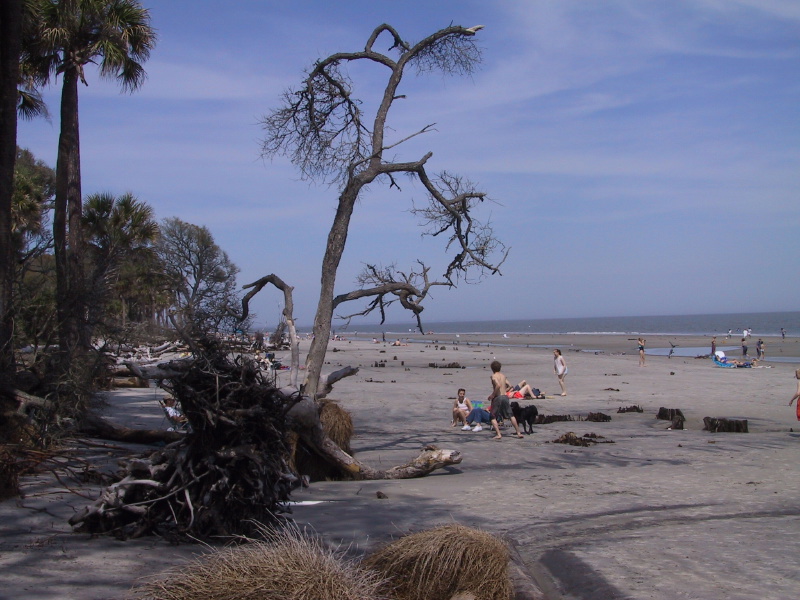 0203beaches21.jpg