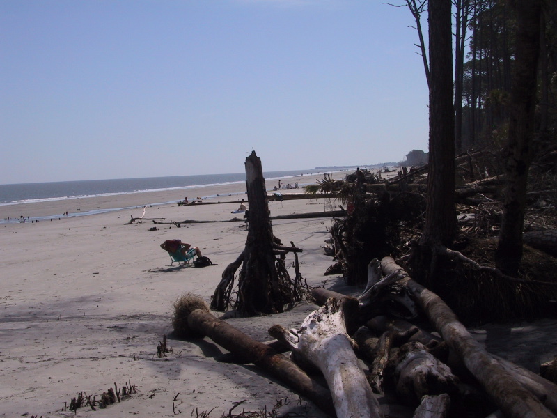 0203beaches22.jpg