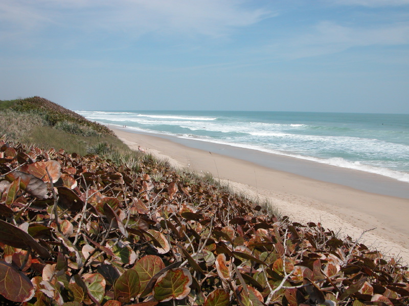 0403beaches18.jpg