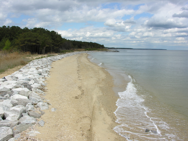0504beaches11.jpg