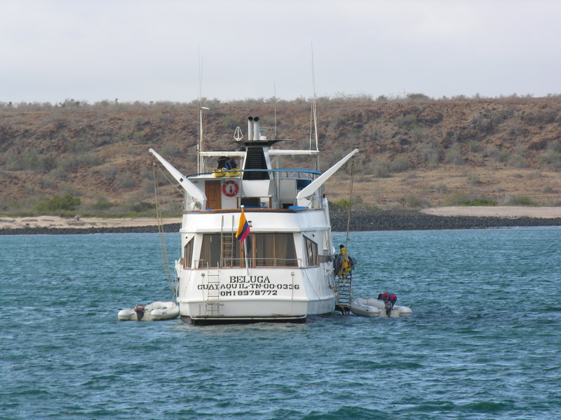 0007071309aboardbeluga.jpg