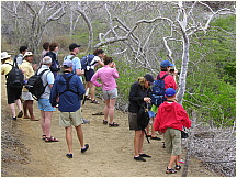 0707080926cormorantpoint.jpg