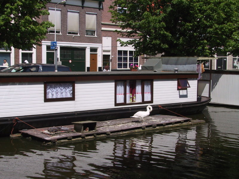 0106canalsfornavigation02.jpg