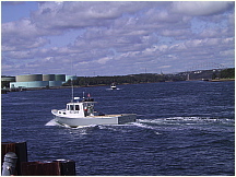 060826CapeCodCanal37LobsterBoatRareBird.JPG
