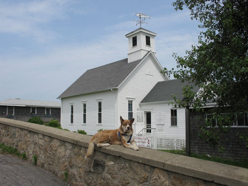 g0606methodistchurchdog.jpg