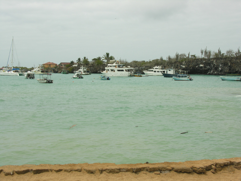 23puertoayora.jpg