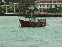 37puertoayora.jpg