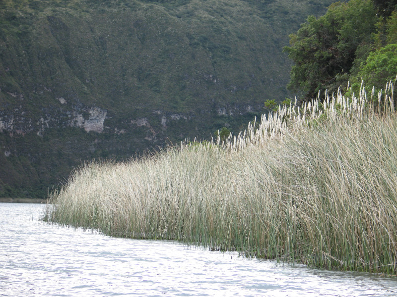 12lagunacuicocha.jpg