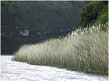 12lagunacuicocha.jpg