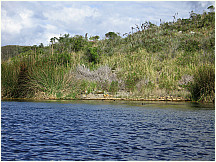 17lagunacuicocha.jpg
