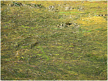 20lagunacuicocha.jpg