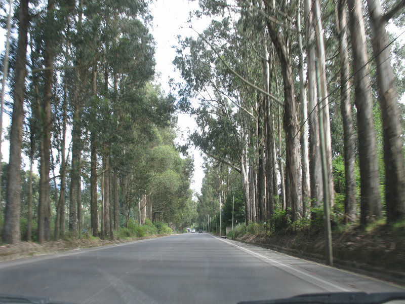 Click on image to return to index 04otavalo.jpg