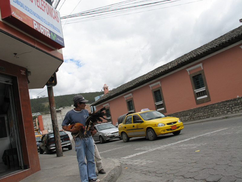 Click on image to return to index 20otavalo.jpg