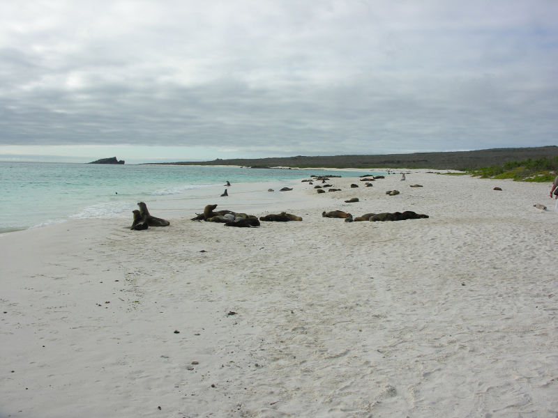 08espanolaislandgardnerbay.jpg