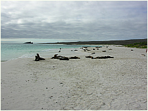 08espanolaislandgardnerbay.jpg