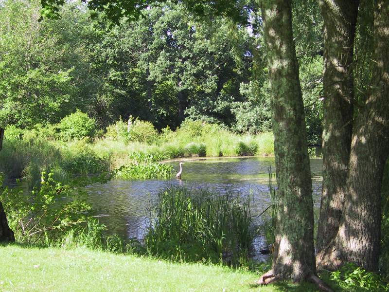 millpond4.jpg