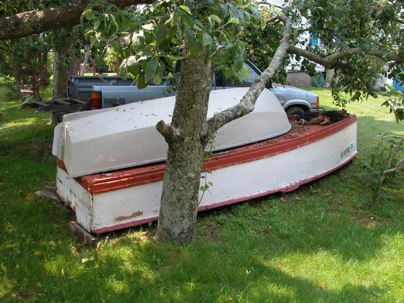 y_dscn2328skiffs.jpg