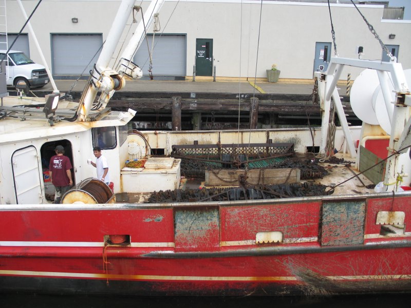n0606230901scallopdredges.jpg
