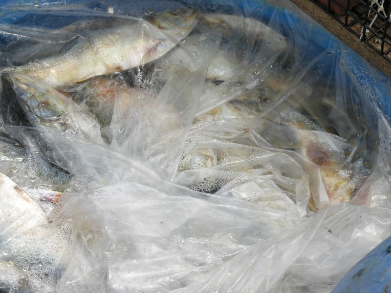 d0607lobsterherringbait.jpg