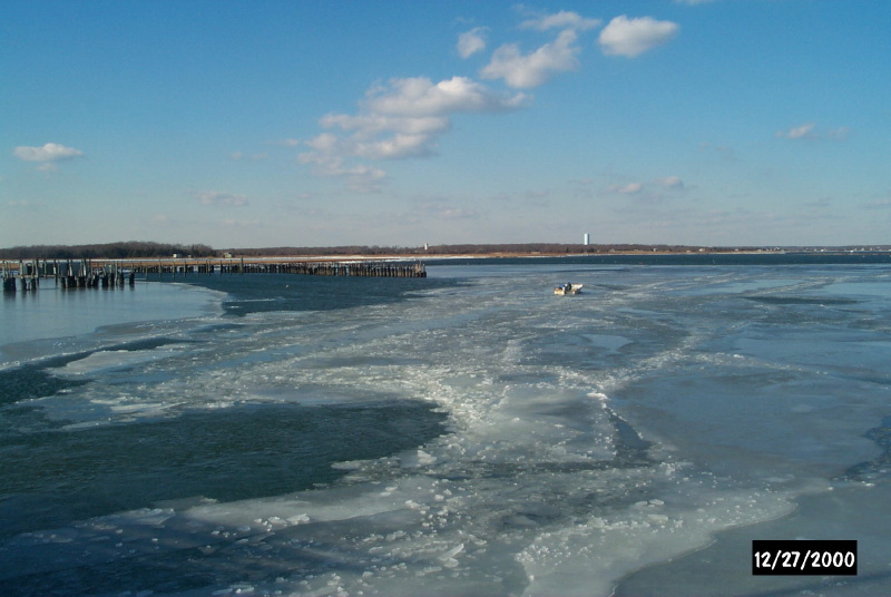 westislandshoreice3.jpg