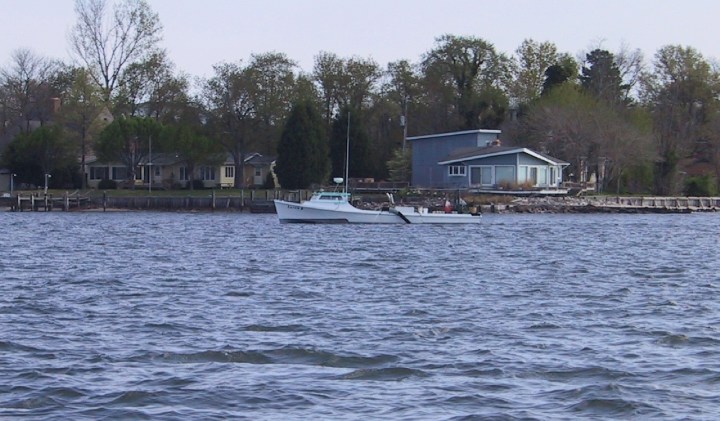 Click on image to return to index 01fishing.jpg