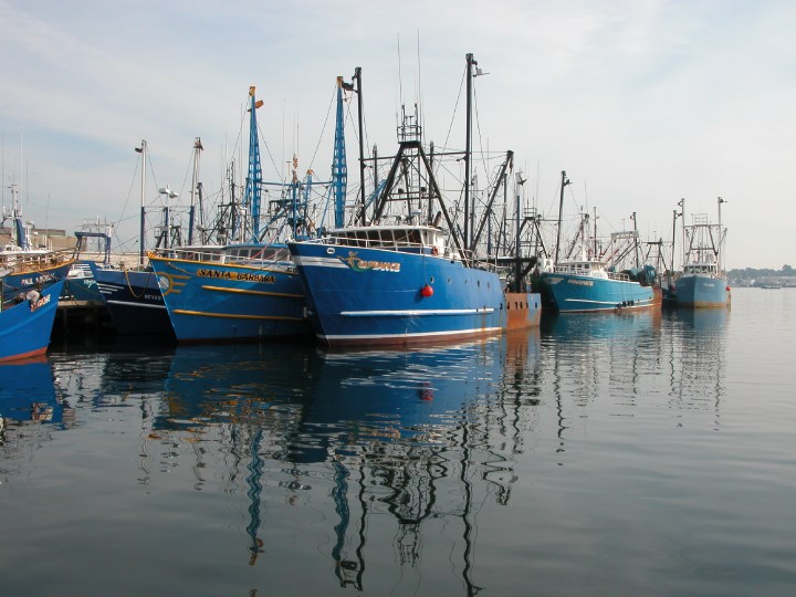 Click on image to return to index 15fishing.jpg