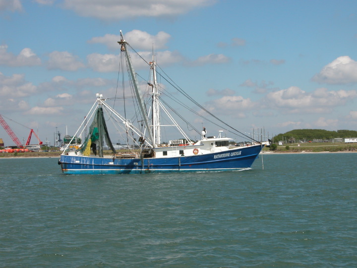 Click on image to return to index 17fishing.jpg