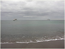 00floreanacormorantpoint.jpg