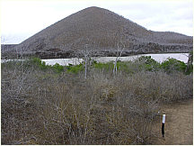 03floreanacormorantpoint.jpg