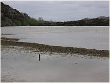 04floreanacormorantpoint.jpg