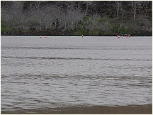 05floreanacormorantpoint.jpg
