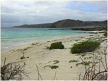 19floreanacormorantpoint.jpg