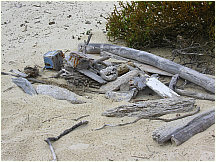 21floreanacormorantpoint.jpg