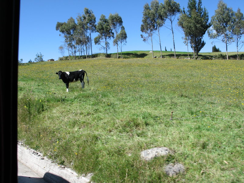 Click on image to return to index 0707031532guaranda.jpg