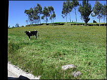0707031532guaranda.jpg