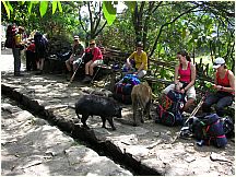 08incatrail.jpg