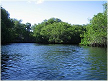 07elizabethbay.jpg