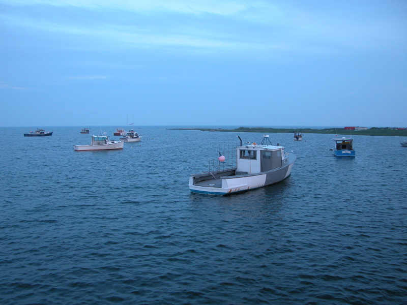 15lobsterfishing.jpg