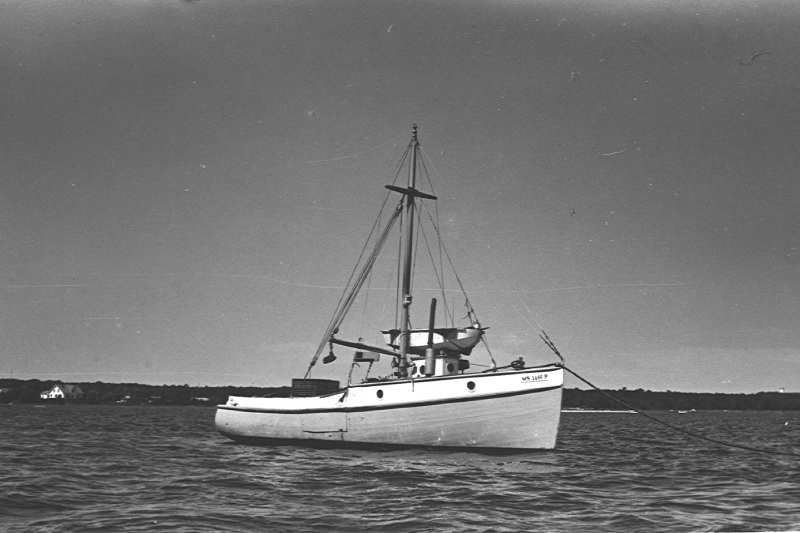 Click on image to return to index eaajre_boat1971only.jpg