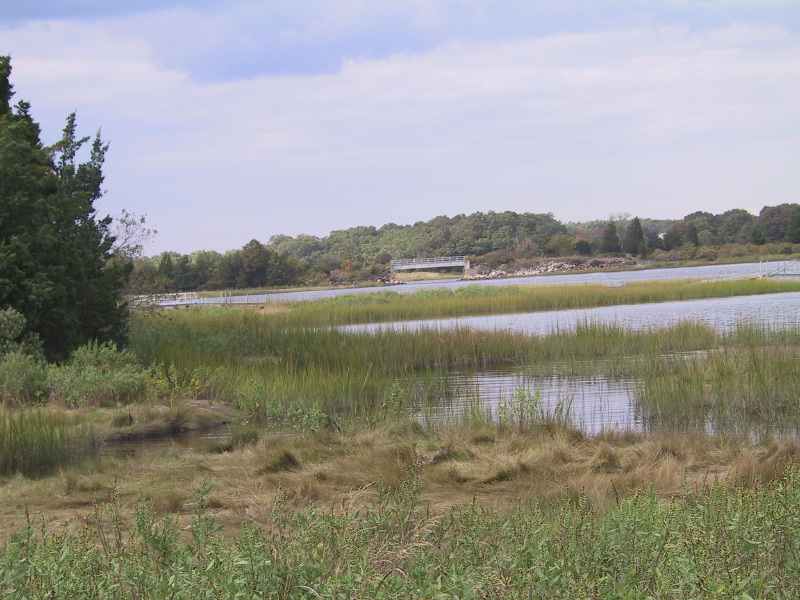 23mattapoisett.jpg