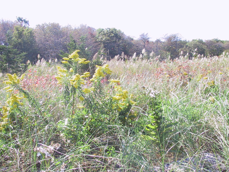 26mattapoisett.jpg