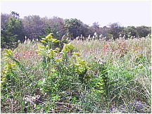 26Mattapoisett.JPG