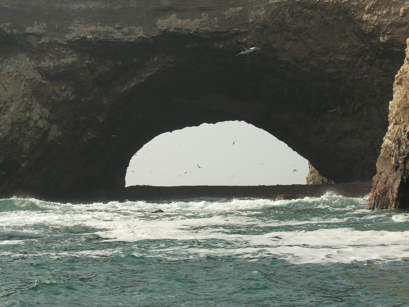 0605260912piscoislespark_2.jpg