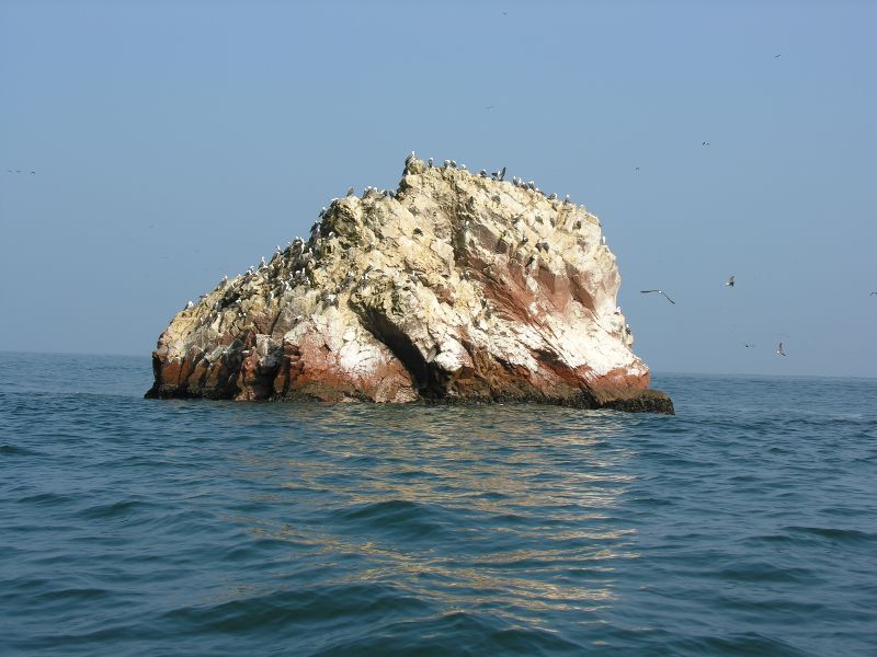 0605260913piscoislespark.jpg