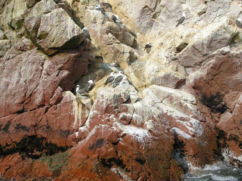 0605260914piscoislespark_3.jpg