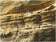 0605260843piscoislespark_2.jpg