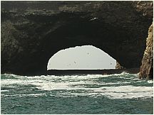 0605260912piscoislespark_2.jpg